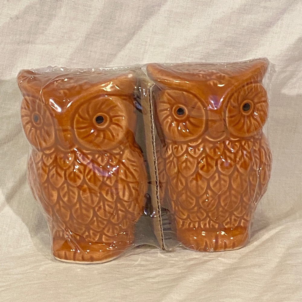 Brown Owls Salt & Pepper Shakers - New